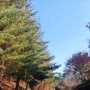 파주종계장 이미지