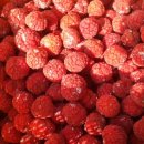 선들농장 이미지