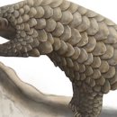 GIANT&PLAY ZONE 이미지