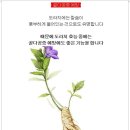 길경영농조합법인