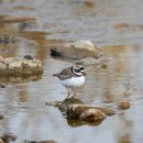 계곡의아침 이미지