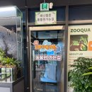 닥터존역곡지점 | 쥬쿠아 김포점 아쿠아카페 수족관, 실내동물원, 키즈놀이를 한곳에서 즐길수있는 곳 내돈내산 추천 !