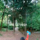 오금공원 유아숲체험원 이미지