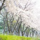 학산마을쉼터 이미지