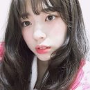 신세휘 카카오 검색결과