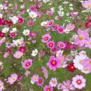 금호장모텔 이미지