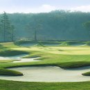 테디벨리 이미지