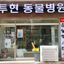 신성그래픽스