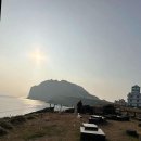 비자노아 이미지