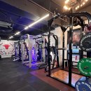 오렌다 핏 이미지