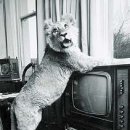 두남자이야기 이미지