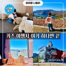 동이목장 | [공지] 아기랑 증평 여행, 벨포레리조트와 벨포레 목장 후기