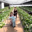 은경어린이집 이미지