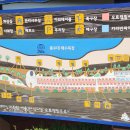 고성 봉수대 오토캠핑장 : 해변까지 단 10걸음! 일출 보기 좋은 바다 앞 오토 캠핑장, 5년째 매년 찾는...