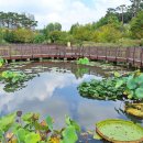 푸른수목원 이미지