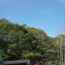 몽키캠핑장 이미지