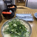 잉꼬식당 - 용인시 수지구 | 구리맛집(7) - 잉꼬칼국수 혼밥후기(위치, 주차, 맛후기)