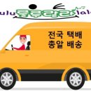 옥산태권도장 이미지