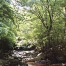 베스트캠핑장 이미지