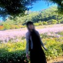 쌍곡반점 이미지