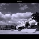 감포중학교 이미지