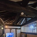 스테이단감 이미지