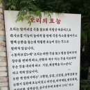 시흥대로78길 이미지