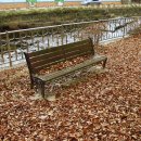 지례초등학교 이미지