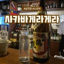 송파구 삼전동 혼술하기 좋은 술집 쇼츄바 사카바 게라게라