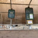 녹산 약수터 이미지