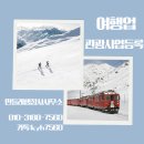 원패스 행정사사무소 이미지