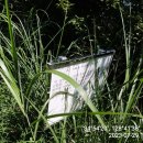 공설운동장 삼거리-우 이미지