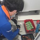 가수원로-7 | 대전 원룸 해충 퇴치! 제로키퍼 이용 후기