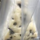 속초술빵 티스토리