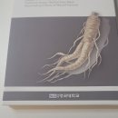 JS건강 | 데일리마스크팩 웰니스피부건강생활 JS인삼마스크팩시트 사용 후기
