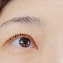 올마이틴팅