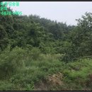 도내리보건진료소 이미지