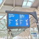 181 | 주말 서울 → 동대구 이동, KTX-청룡 181 첫 탑승 솔직 후기