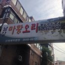 남강오리 이미지