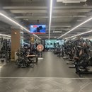 자세교정 스트레칭 이미지