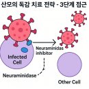 라피아의원 | 일요일 내과 독감 수액 A형, B형 따로 있나요? 임산부 타미플루 독감 치료 3단계 전략