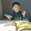 나팔꽃 노래연습장 | 5세전집추천 블루래빗자연관찰 / 나팔꽃 , 소나무와참나무 비교