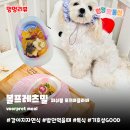 볼프레츠밀(voorpret meal) 이미지