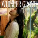 수지로 이면도로 이미지