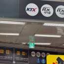 선화목장 | 당일치기 여행 - 성심당 주말 웨이팅, 카운트커피선화, 프렐류드샵, 몽심, 정영복미술공간, 라이커블...