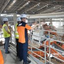 넥서스그린 이미지