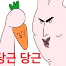 리버동