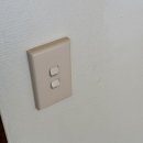 스테이다옴 이미지