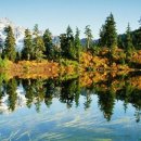 서늘기교 이미지