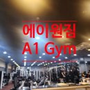 A1 GYM 이미지